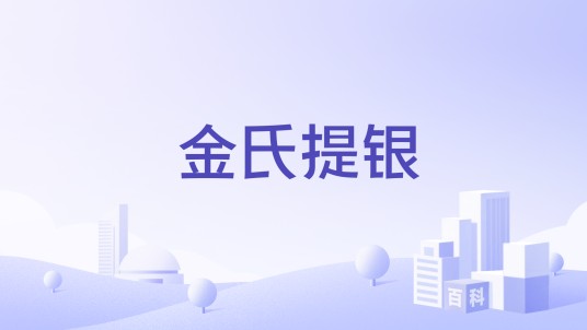 金氏提银
