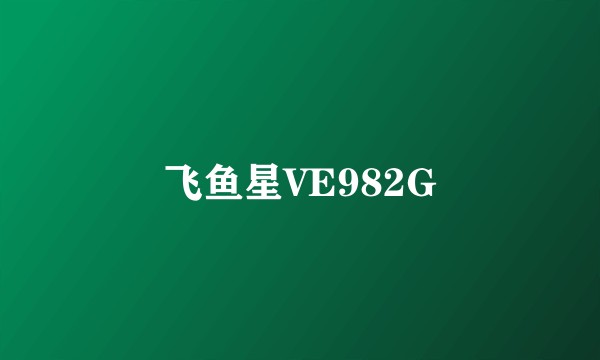 飞鱼星VE982G
