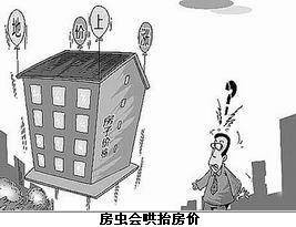 房虫