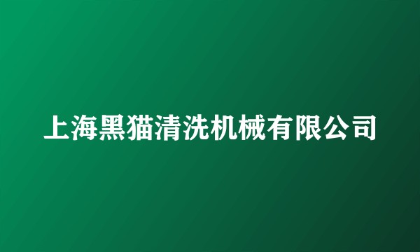 上海黑猫清洗机械有限公司