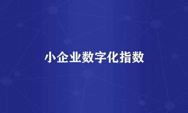 小企业数字化指数