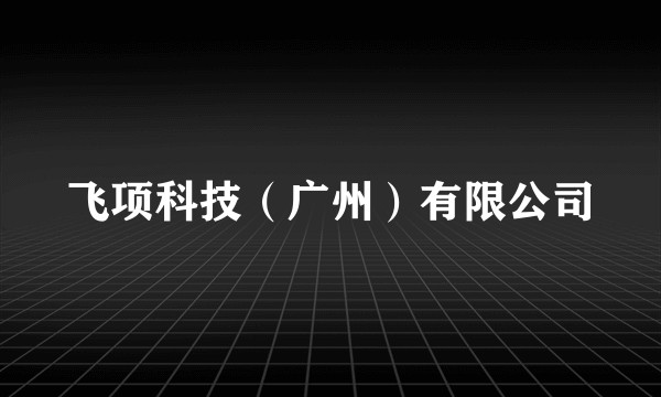 飞项科技（广州）有限公司