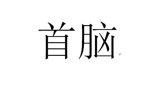 首脑（文化术语，指领袖人物）