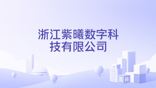 浙江紫曦数字科技有限公司
