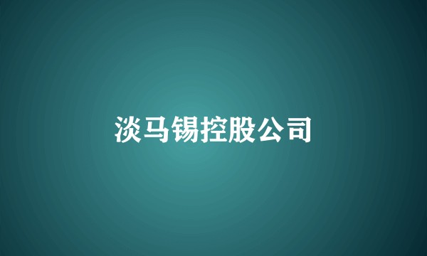 淡马锡控股公司