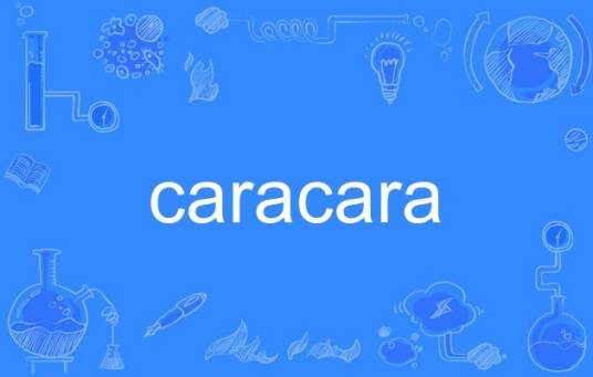 caracara（英语单词）