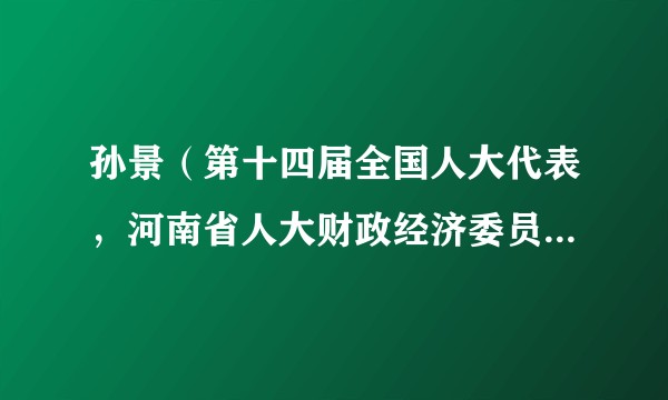 孙景（第十四届全国人大代表，河南省人大财政经济委员会副主任委员）