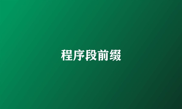 程序段前缀
