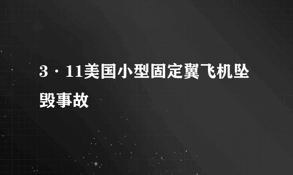 3·11美国小型固定翼飞机坠毁事故