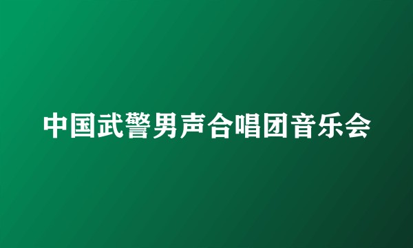 中国武警男声合唱团音乐会
