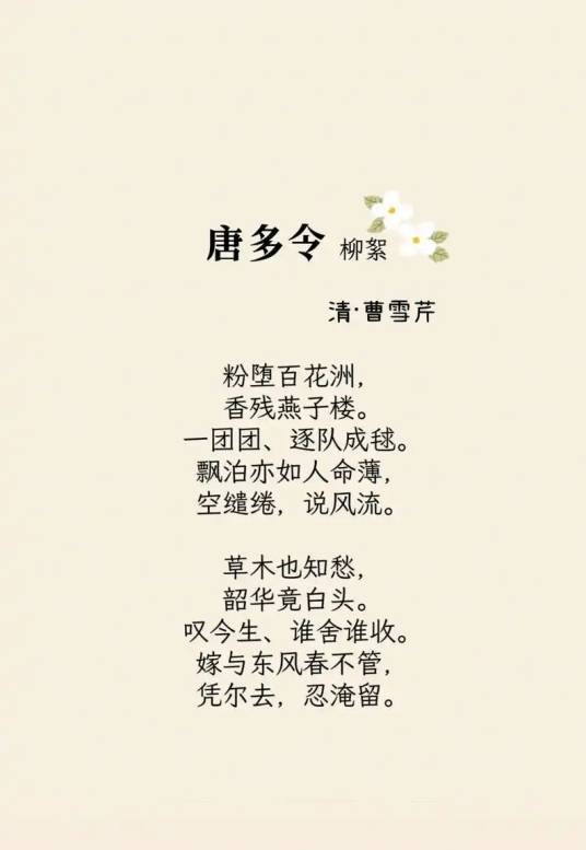 唐多令·柳絮
