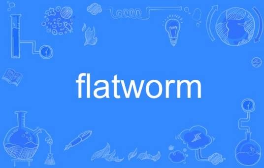 flatworm