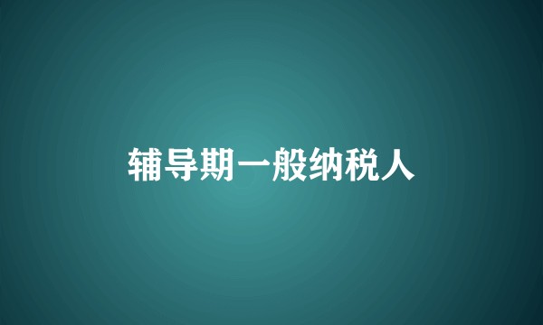 辅导期一般纳税人