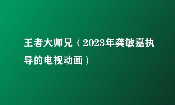 王者大师兄（2023年龚敏嘉执导的电视动画）