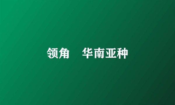 领角鸮华南亚种