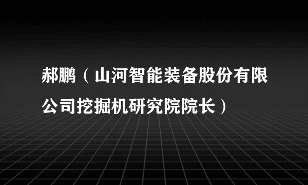郝鹏（山河智能装备股份有限公司挖掘机研究院院长）