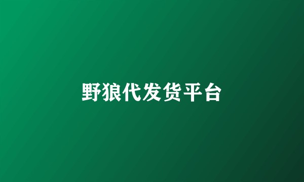 野狼代发货平台