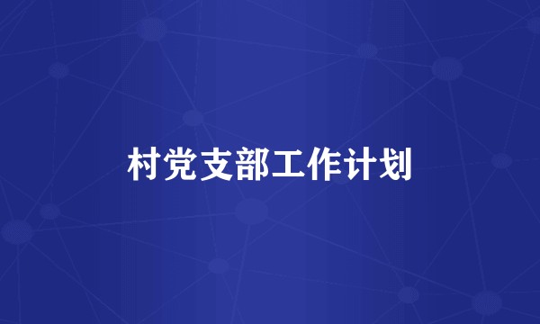 村党支部工作计划