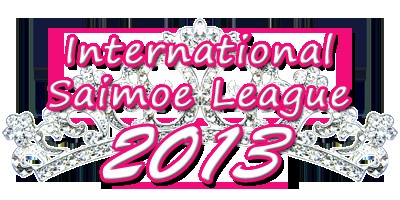 2013年国际最萌大会