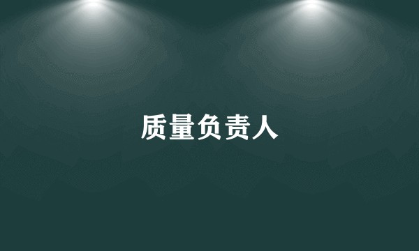 质量负责人