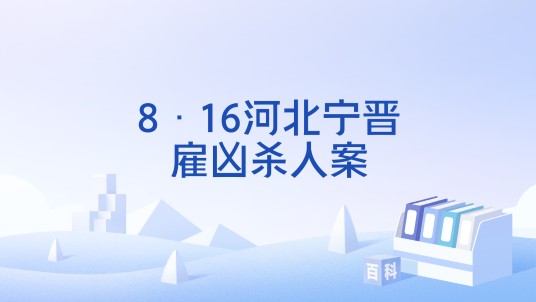 8·16河北宁晋雇凶杀人案