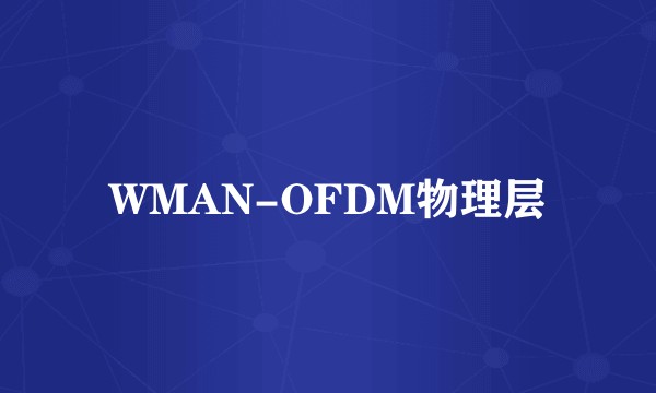 WMAN-OFDM物理层