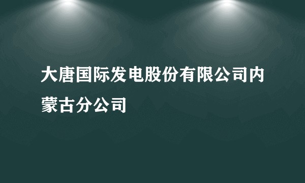 大唐国际发电股份有限公司内蒙古分公司