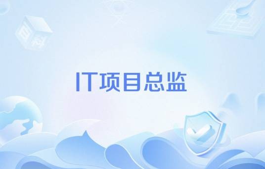IT项目总监
