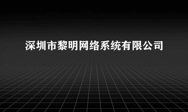 深圳市黎明网络系统有限公司