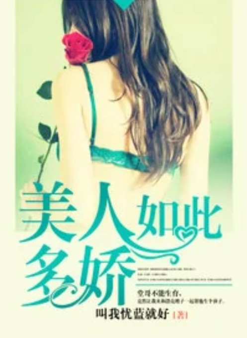 美人如此多娇（叫我忧蓝就好创作的百态类社会小说）