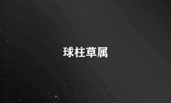 球柱草属