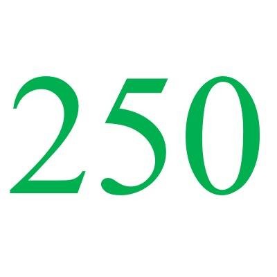 250(自然数之一)