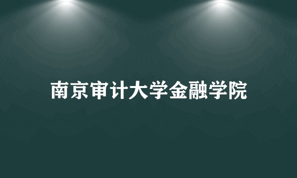 南京审计大学金融学院