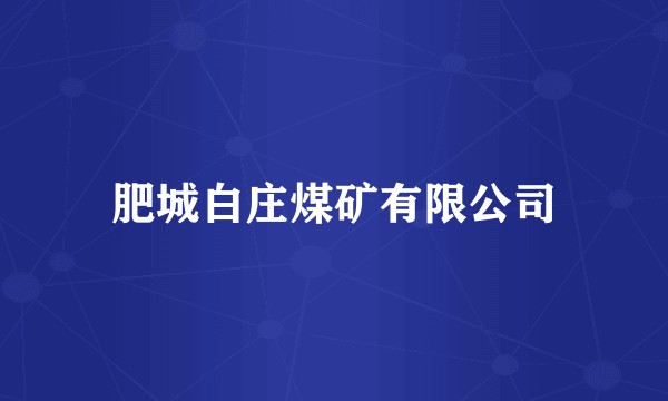 肥城白庄煤矿有限公司