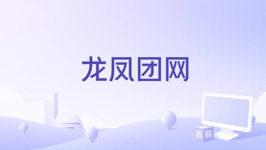 龙凤团网