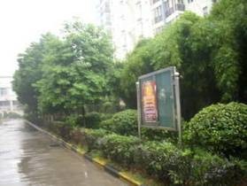 博雅苑（惠州市惠阳区楼盘）