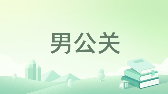 男公关（2012年群众出版社出版的图书）