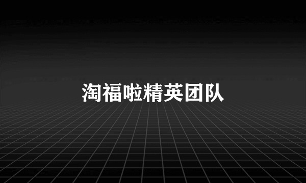 淘福啦精英团队