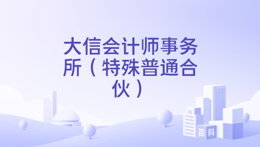 大信会计师事务所（特殊普通合伙）
