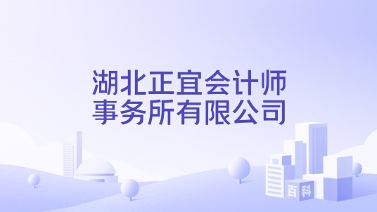 湖北正宜会计师事务所有限公司