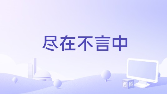 尽在不言中（2017年荷兰 /波兰制作的电影）