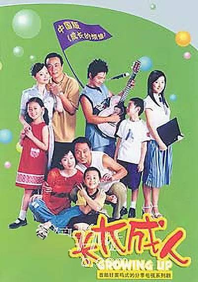 长大成人（2004年佟彤执导喜剧电视剧）