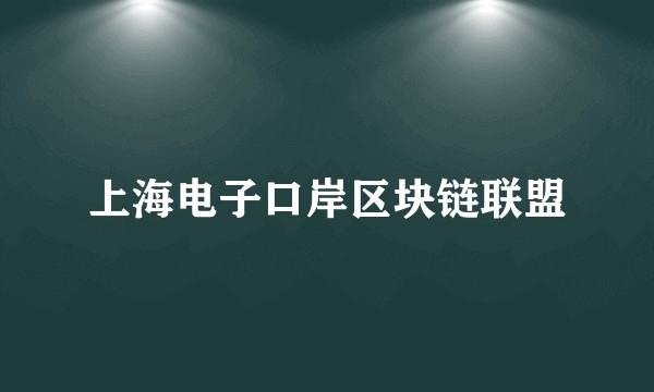 上海电子口岸区块链联盟