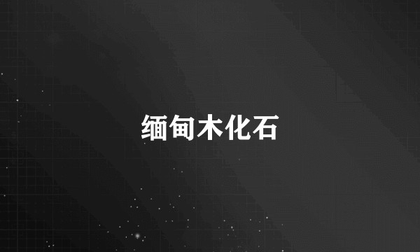 缅甸木化石