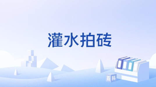 灌水拍砖