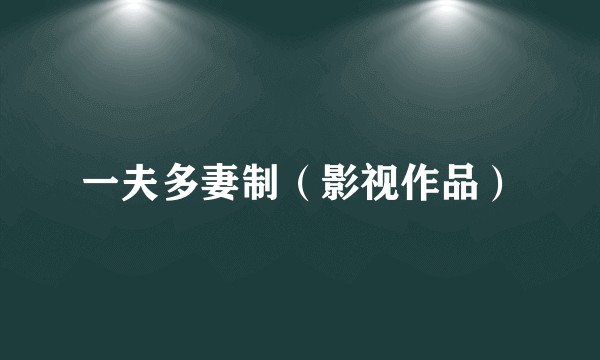 一夫多妻制（影视作品）