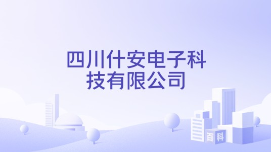 四川什安电子科技有限公司