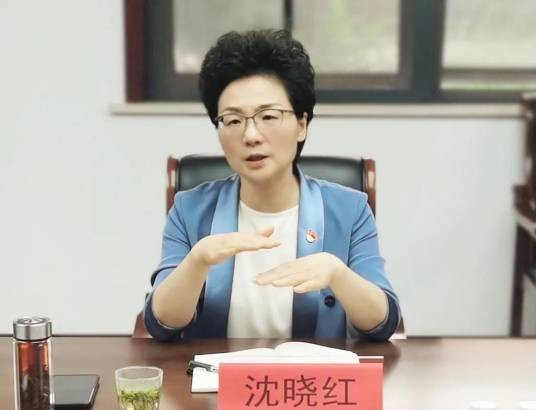 沈晓红（江苏省宜兴市委副书记、市委政法委书记）