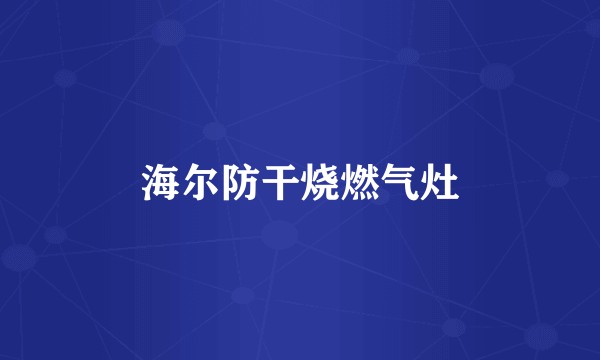 海尔防干烧燃气灶