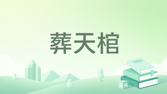 葬天棺（黑岩网小说）